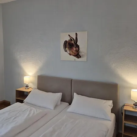 Hotel-gasthof Opel 2*