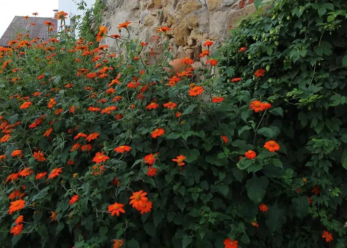 Hotel-gasthof Opel 2*